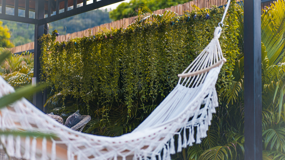 Dalah Pool House / month