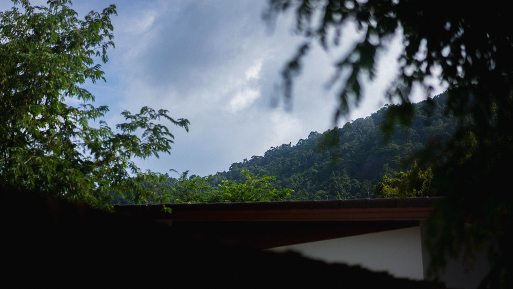 Secret tree pool house / month