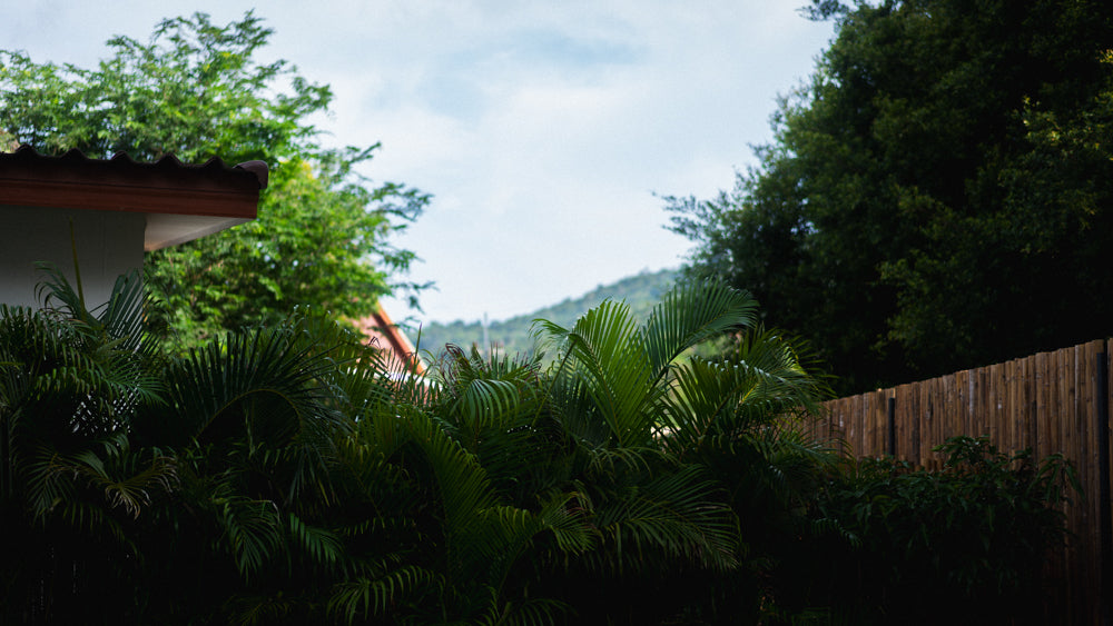 White Orchid Pool House / month