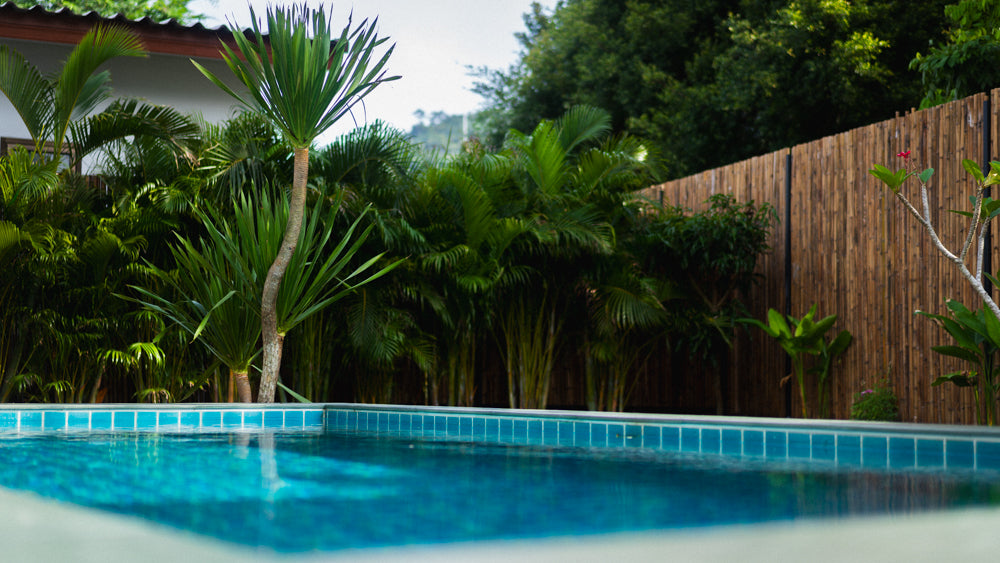 White Orchid Pool House / month