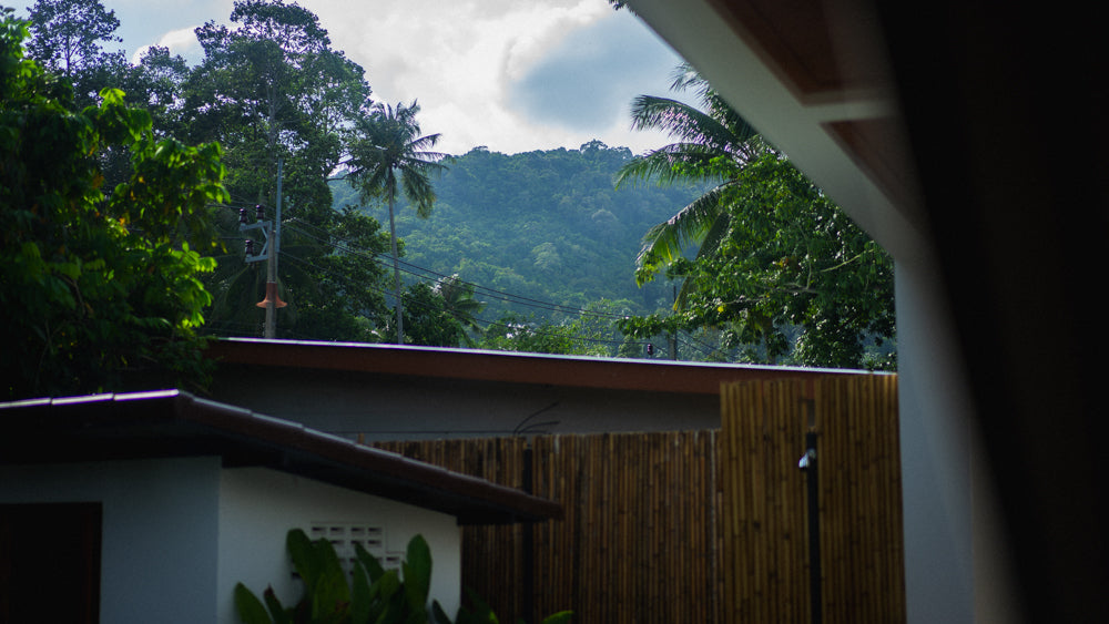 White Orchid Pool House / month