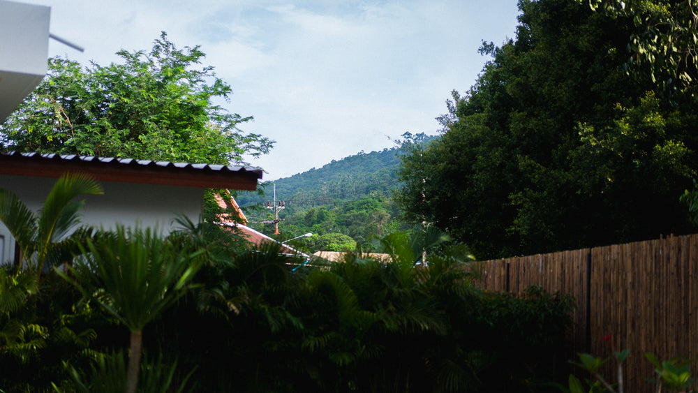 White Orchid Pool House / month