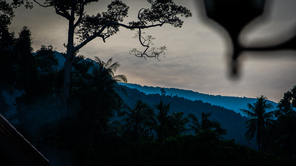 Lotus Pool house / month