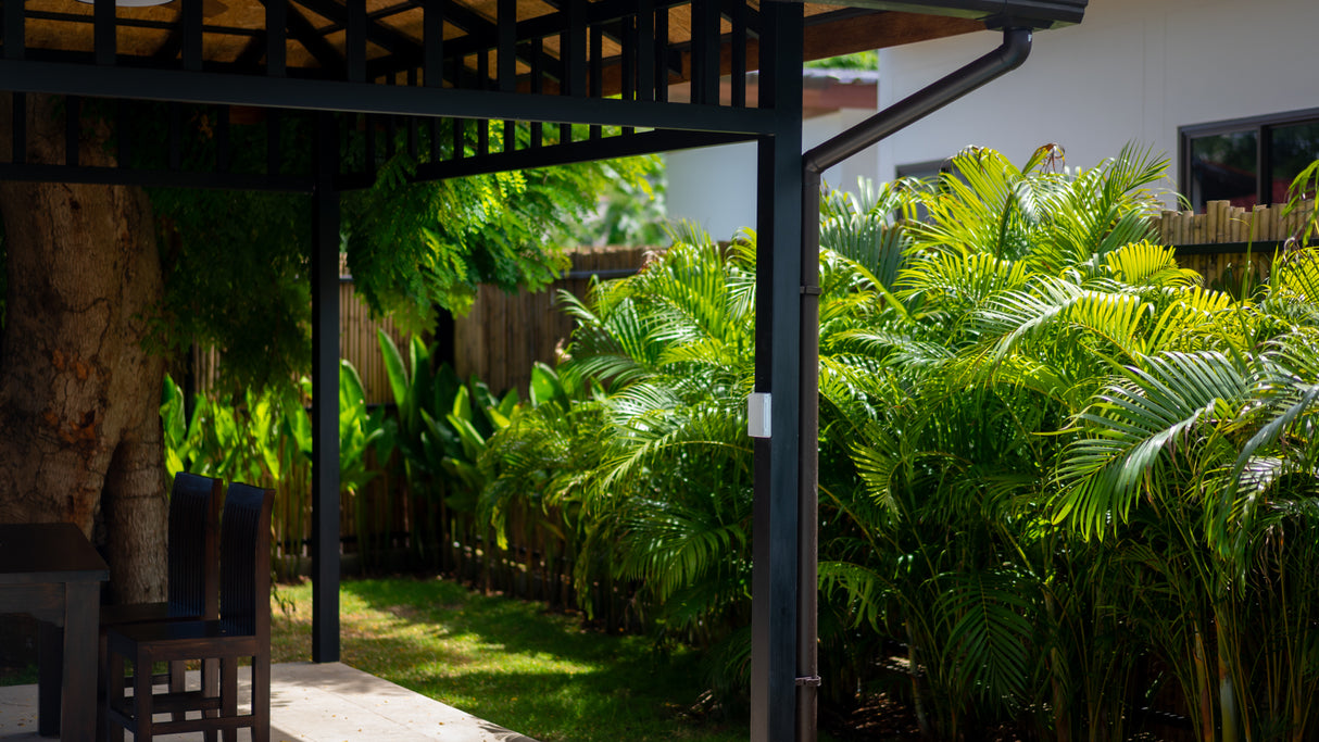 Secret tree pool house / month