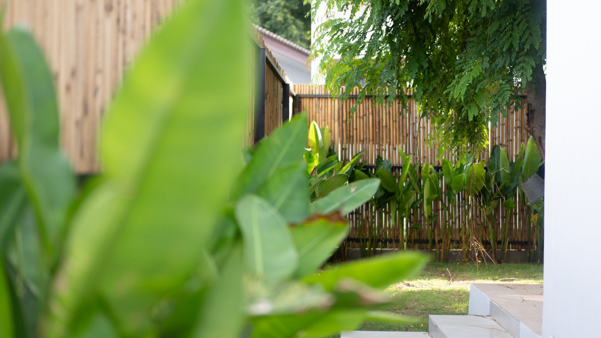 Secret tree pool house / month