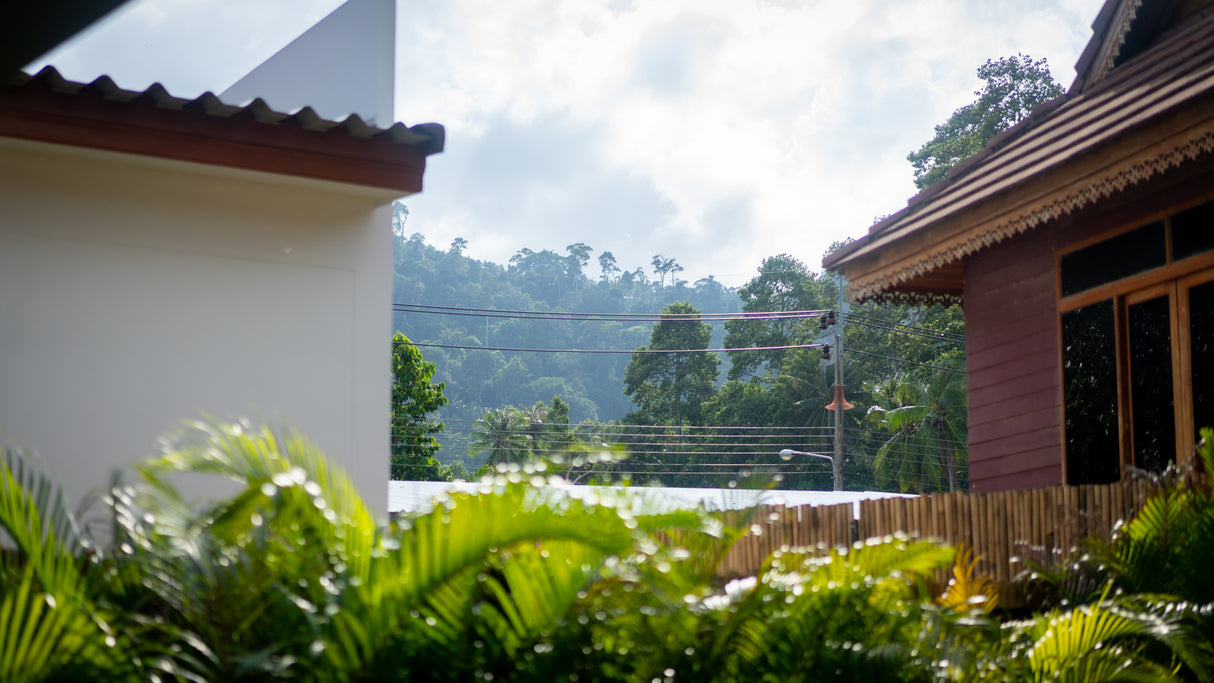 Secret tree pool house / month