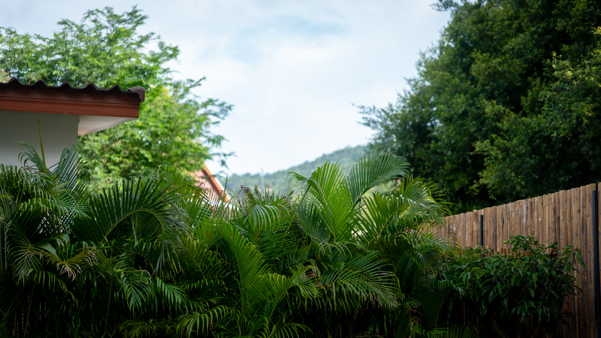 White Orchid Pool House / month