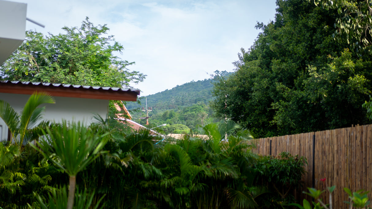 White Orchid Pool House / month